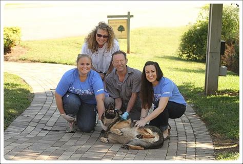 young williams surrender|young williams surrender animal shelter.